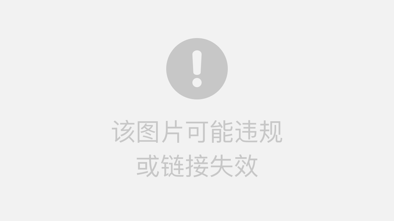 365怎么录视频，从入门到进阶的Go语言实践