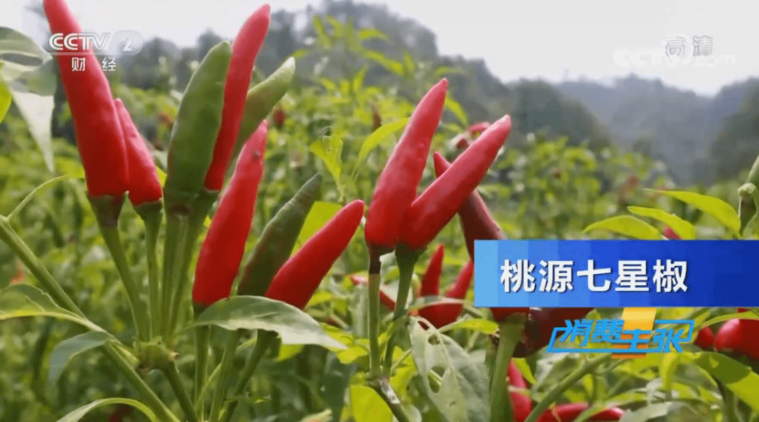 三一365h液压泵更换视频,看完这篇,你也能自己动手干 三一365h液压泵更换视频,看完这篇,你也能自己动手干